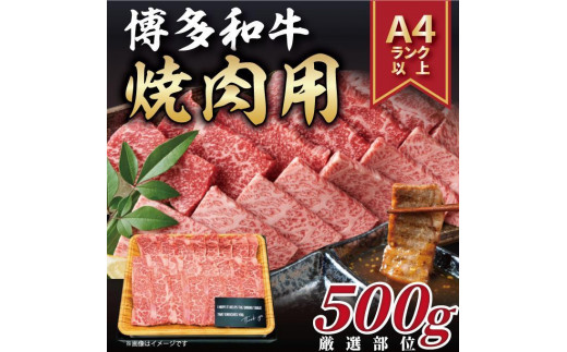 
博多和牛 焼肉用　500g ( 1パック )【博多和牛 和牛 牛 肉 お肉 焼肉 焼き肉 贅沢 人気 食品 オススメ 送料無料 福岡県 筑前町 AR007】
