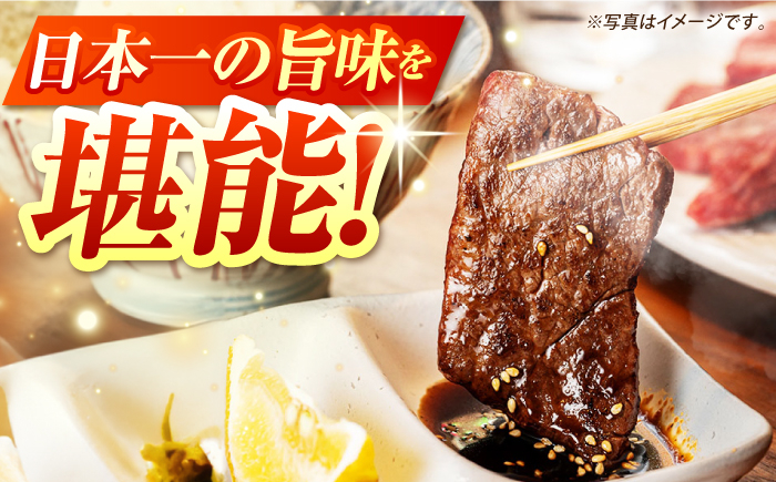 国産和牛焼肉セットこくさん牛肉やきにく小分け焼肉焼き肉焼肉セット冷凍焼肉焼き肉ヒレシャトーブリアン食べ比べ赤身しゃとーぶりあん