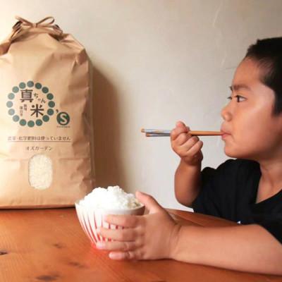 ふるさと納税 飯塚市 真ちゃん米 5kg |  | 01