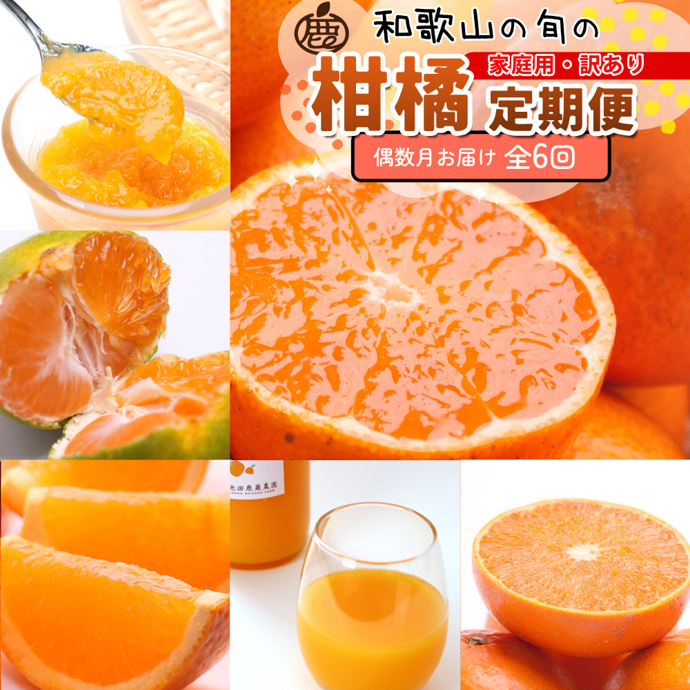 家庭用 柑橘定期便S（偶数月）全6回 ［IKE302］BB90211