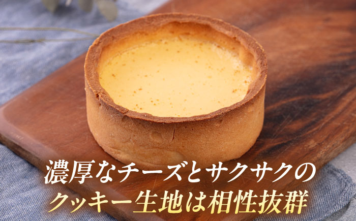 チーズケーキ 4号（12cm) 2～3人分【日本水産観光株式会社】 [AKBR007]
