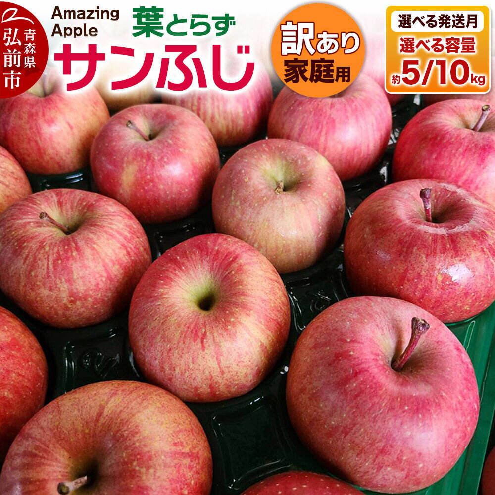 【ふるさと納税】りんご 葉とらずサンふじ【訳あり】家庭用【選べる 5kg／10kg×発送月】 [りんご サンふじ 葉とらず ふじ 訳あり 家庭用 選べる 5kg 10kg アップル おいしい 果実 果物 取ら 赤色 美味 葉っぱ 林檎 青森県 弘前市]