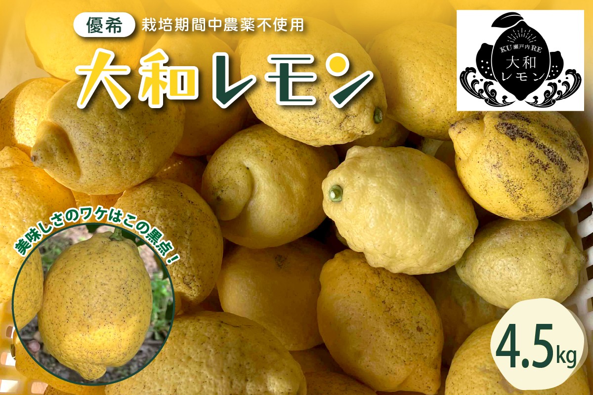 
                  【先行受付】 【2026年11月～発送】 栽培期間中農薬不使用 大和レモン れもん 檸檬 大きい 新鮮 朝採れ 4.5kg ku044-013-26
                