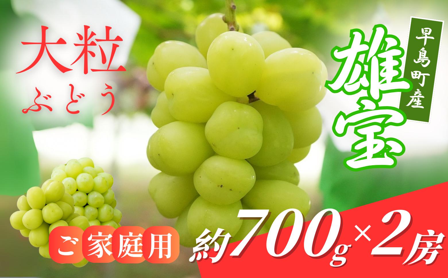 
                  【数量限定】早島町産 大粒のブドウ「雄宝」家庭用７００ｇ×２房（林果樹園）
                