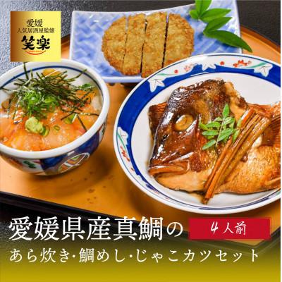 ふるさと納税 松山市 愛媛県産　真鯛のあら炊き・宇和海鯛めし4人前・じゃこカツ5枚