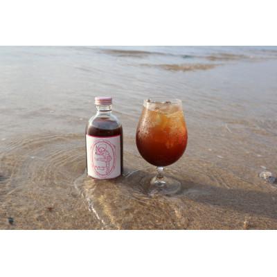 ふるさと納税 土庄町 小豆島の恵みがぎゅっ!『もったいないこーら』(クラフトコーラシロップ)