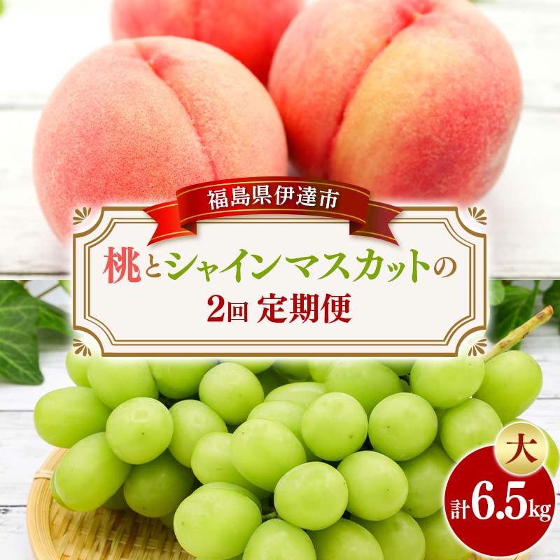 桃とシャインマスカットの定期便（大） 福島の桃 果物 先行予約 フルーツ 桃 モモ もも 葡萄 ブドウ ぶどう 福島県 伊達市 もも モモ momo  くだもの 果実 セット 詰め合わせ 詰合せ 食品 F20C-787