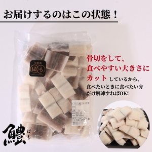 鱧 国産 ハモ 切り身【 定期便 3回 偶数月】冷凍 計 3kg 【小松島市共通返礼品】