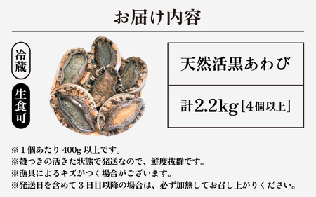 【先行予約】天然 黒あわび プレミアムサイズ 計2.2kg（4個以上）【2027年3月より順次発送予定】数量限定 活あわび [m17-p003_03]