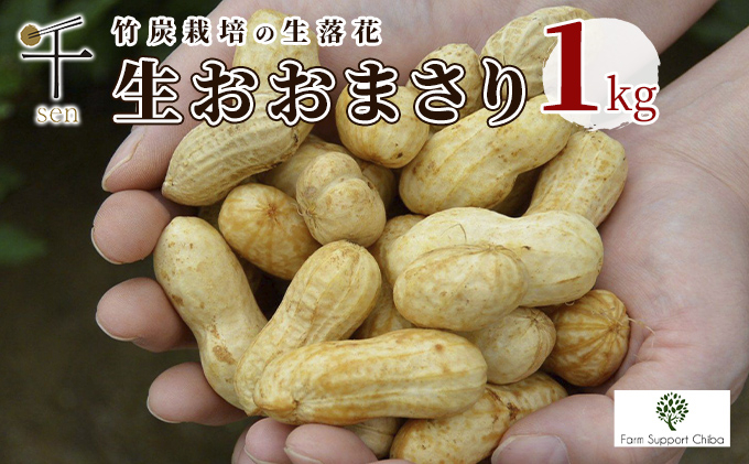 
生落花生おおまさり1kg　千ブランド[№5346-0427]
