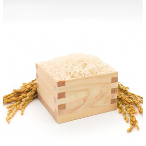 2023年産新米【南信州高森産】 コシヒカリ玄米20kg(10kg×2袋)