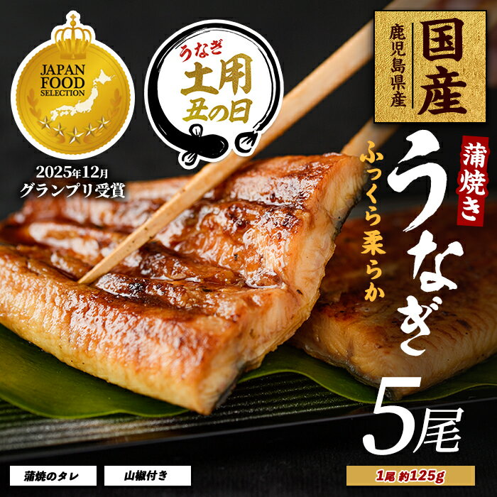 【ふるさと納税】＜丑の日用も選べる！7/20までの決済完了で7/15〜7/25にお届け＞【鹿児島県産】 うなぎ蒲焼じっくり焼き約125g×5尾 化粧箱入り 鰻 ウナギ 蒲焼 国産 丑の日 うな重 無頭 ギフト プレゼント 贈り物 贈答 惣菜 総菜 小分け【大新】