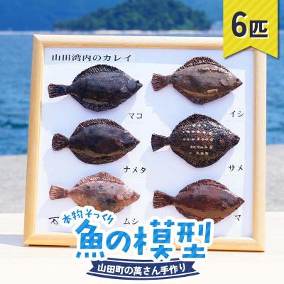 ふるさと納税 山田町 手作り 本物そっくり魚の模型 6点