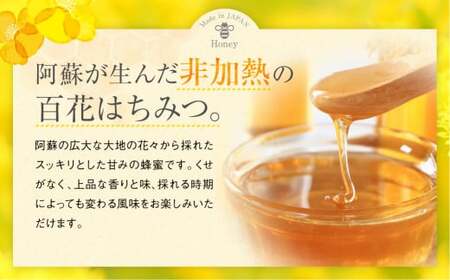 国産 百花はちみつ 合計1kg （500g×2本）【2025年2月発送】とんがりポリ容器 ハチミツ 熊本県産