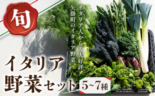 旬のイタリア野菜セット 5～7種 先行予約 《2026年11月下旬-3月中旬頃出荷》JA晴れの国 矢掛アグリセンター 野菜 ねぎ ネギ 国産 イタリア リーキ プレコーチェ カタローニャ ルーコラ ズッキーニ トマト 玉ねぎ 西洋 野菜  送料無料