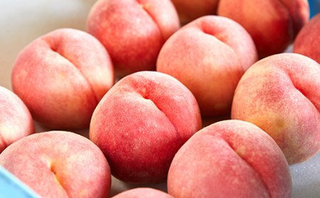 《先行予約 2024年発送》桃農家さんおすすめ！山形のおいしい桃（柔らかくなる桃2kg） FSY-0172