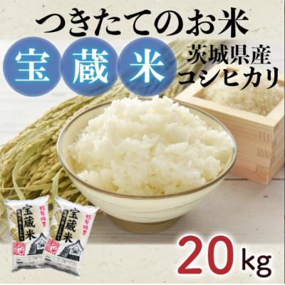 ふるさと納税 水戸市 令和6年産　茨城県産コシヒカリ　宝蔵米　20kg(10kg×2)精米