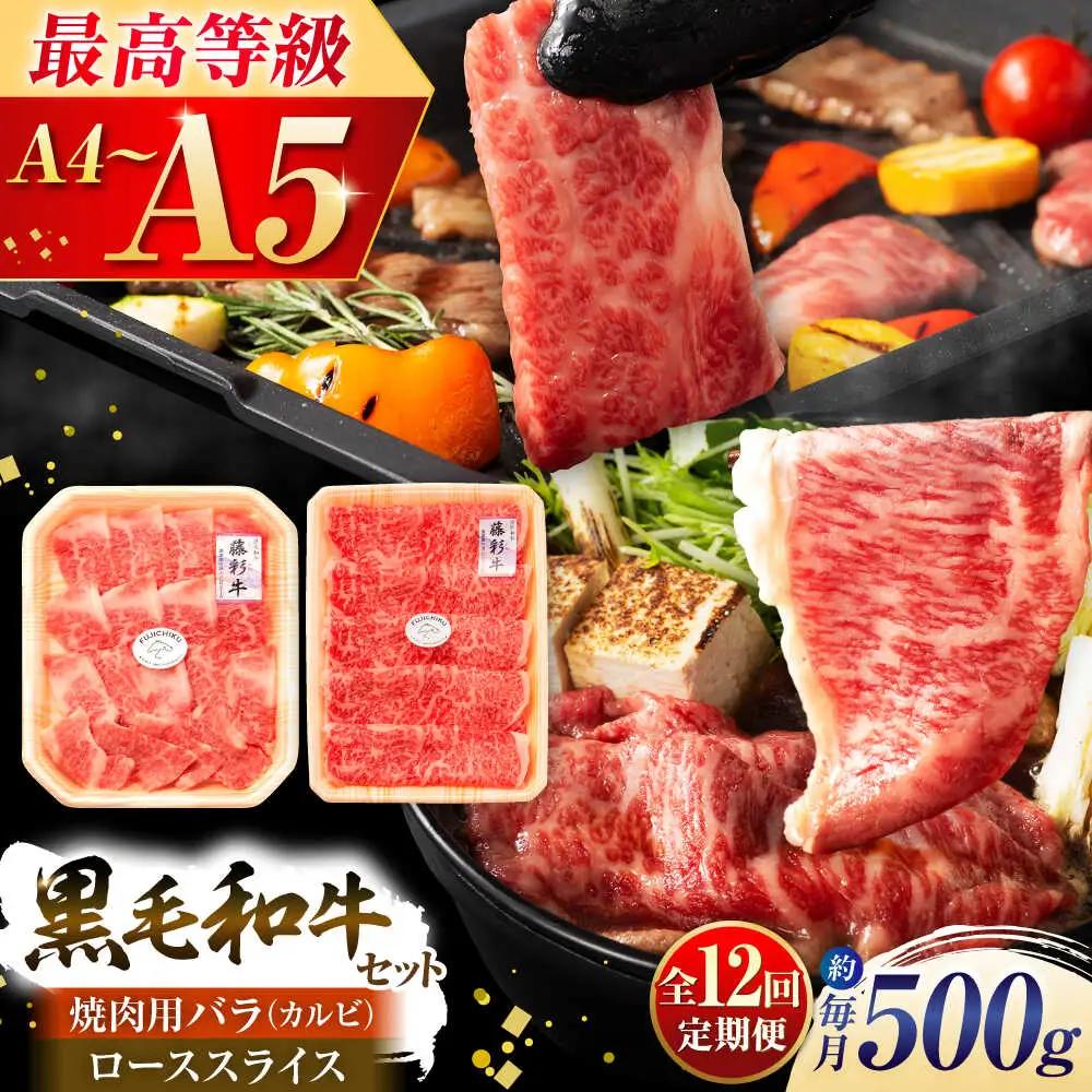 12回定期 くまもと 黒毛和牛 藤彩牛2種の食比 計500g 和牛 BHAD038