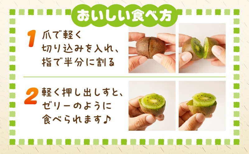 【先行受付】香川県オリジナルキウイフルーツ「さぬきキウイっこ」約3kg【香川県共通返礼品】  キウイ キウイフルーツ 果物 フルーツ 青果 青果物 さぬきキウイっこ 果実 贈答 贈り物 ギフト 甘い 