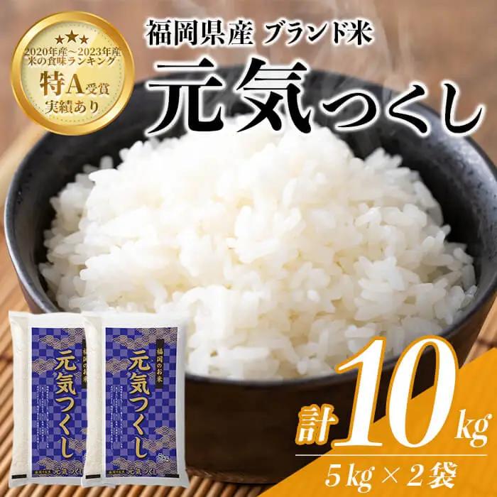 ＜数量限定＞元気つくし 精白米 (10kg)お米 米 精白米 国産 福岡県産 ブランド米 10kg 数量限定 常温＜北海道・沖縄・離島配送不可＞【ksg1781】