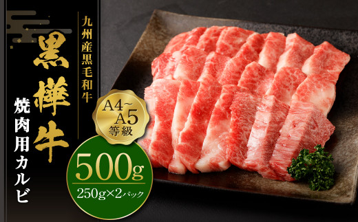 焼き肉 A4-A5等級 カルビ 500g(250g×2パック)  牛肉 九州産黒毛和牛 杉本本店 黒樺牛 焼肉用カルビ BBQ  霜降り 焼肉 アウトドア 肉 キャンプ 和牛 牛 お肉 黒毛和牛 国産 冷凍 