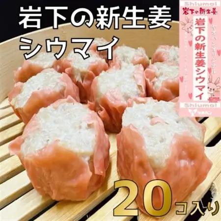 【鹿沼新名物】ヤオハンオリジナル岩下の新生姜シウマイ　20個入(800g)【配送不可地域：離島】【1505365】