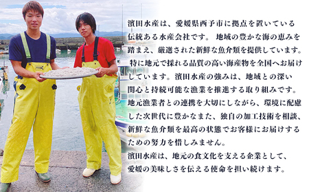 ＜漁師さん自慢のしらす干し 合計1kg 6回定期便＞ 定期便 シラス 魚介類 さかな 海産物 海鮮 海の幸 小分け 国産 ご飯のお供 丼 晩酌 おかず 特産品 濱田水産 愛媛県 西予市 【冷凍】『お申