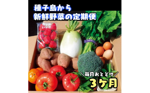 【３か月 定期便 】 種子島 の 新鮮 野菜 と 果物 ７～１０品 と 鶏卵 セット　NFN475 【975pt】 旬 セット ３か月 たまご 100サイズ 新鮮野菜 卵 