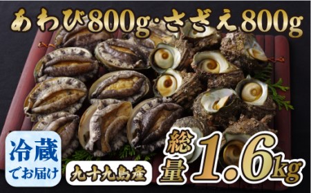 【レビュー★5.0】九十九島  活あわび800g･さざえ800g セット 生食可！【総計1.6kg】【つくも】 あわび 九十九島あわび 活あわび 産地直送あわび さざえ 九十九島さざえ 活さざえ 産地直送さざえ