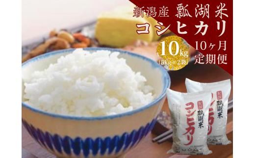 【令和7年産】【10か月定期便】新潟産 コシヒカリ「瓢湖米」 10kg×10回 白米 精米 米 こめ コメ 1N14208