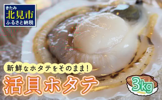 活貝ホタテ3kg