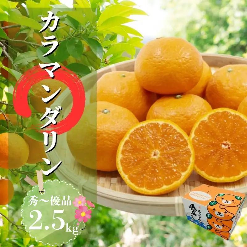 【2027年4月下旬頃から順次発送】カラマンダリン 秀~優品 2.5kg | 愛媛 みかん 柑橘 お取り寄せ グルメ 期間限定 数量限定 人気 おすすめ 愛媛県 松山市 【PT0471】