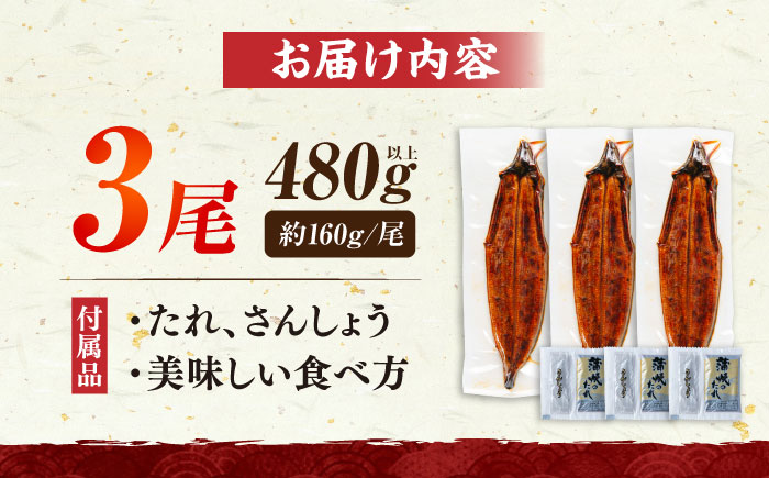 福岡県産 うなぎ 蒲焼 大3尾 合計 480 g（1尾あたり 160g以上）《豊前市》【福岡養鰻】 国産 うなぎ 大 [VAD003]
