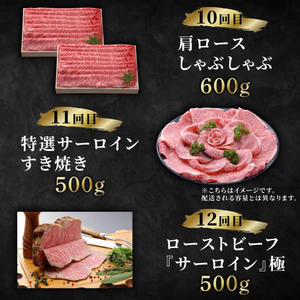 近江牛 12ヶ月定期便 まるっと1年お楽しみコース 【近江牛定期便】