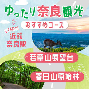 レンタカー利用券 10,500 円分 株式会社トヨタレンタリース 奈良旅行 券 K-23