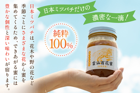 AJ445 はちみつ 国産 百花蜜 500g 1個 日本ミツバチ 純粋 100%