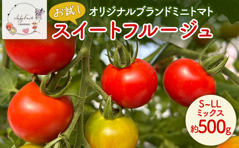 【お試し】 スイートフルージュ 約500g アイビーファーム ミニトマト 長野 信州 小諸 産地直送