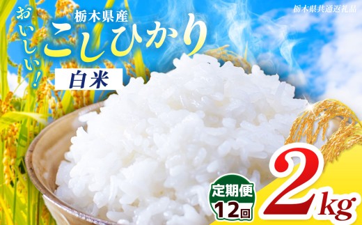 【栃木県共通返礼品】【先行予約】【令和8年度産】【定期12回】 訳あり 栃木県産 コシヒカリ 2kg |定期便 選べる ふるさと 納税 コシヒカリ とちぎの星 お米 精米 白米 大粒 小粒 okome kome ご飯 無洗米 栃木県 那珂川町 送料無料