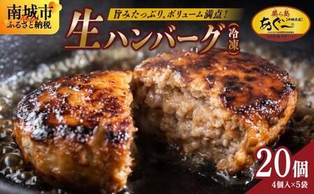 《あぐ〜豚の旨みを凝縮》ハンバーグ 120g × 20個（2400g）冷凍【美ら島あぐ～】|沖縄県 南城市 沖縄従来アグーと良質な白豚をかけあわせた 豚肉のハンバーグ 2.4kg 送料無料