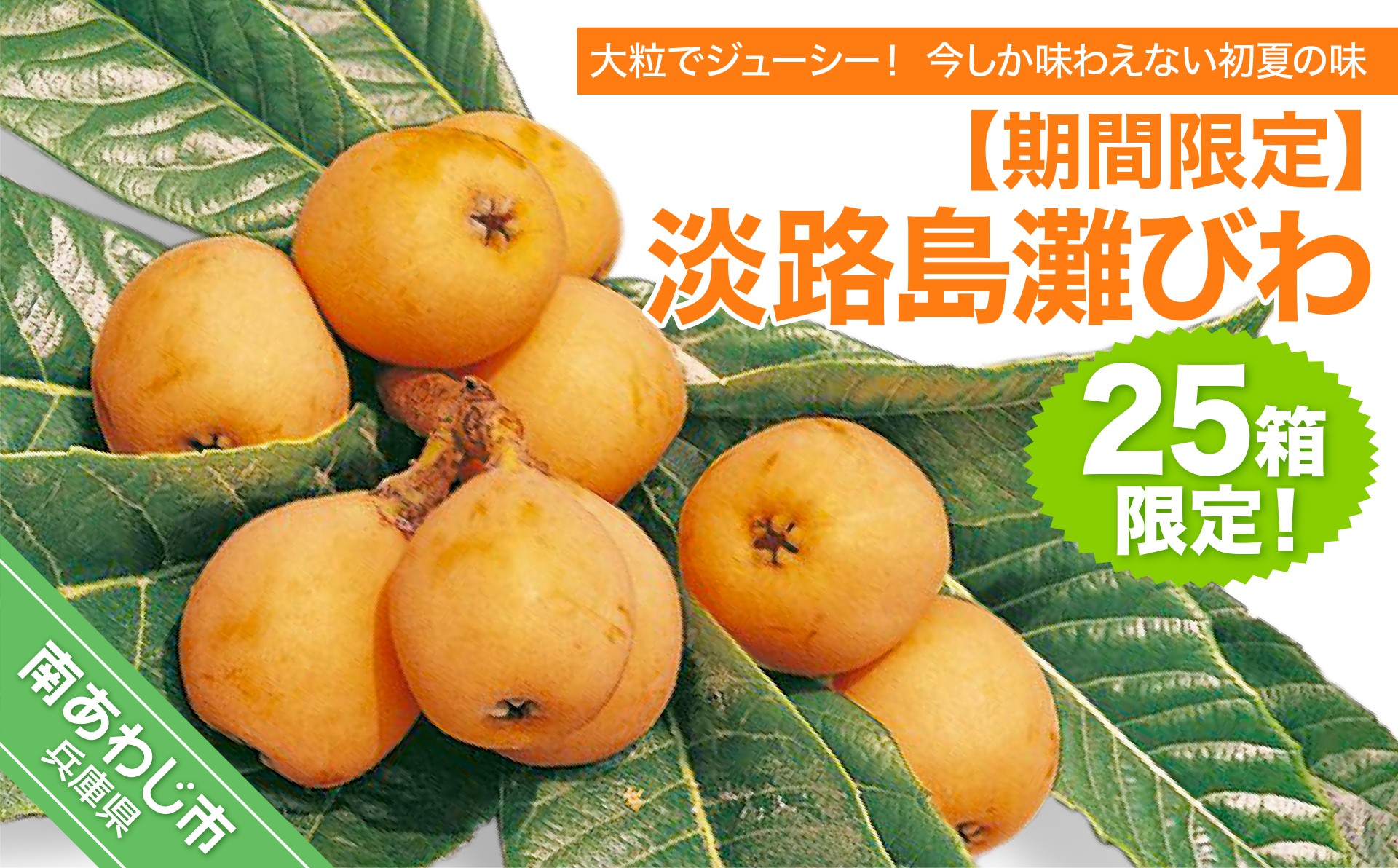 
                  【期間限定・数量限定】淡路島灘びわ　◆配送6月中旬～
                