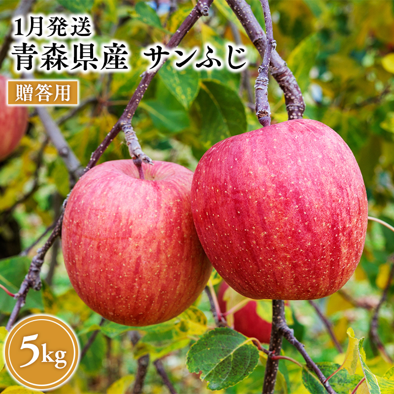 2027年1月発送　贈答用サンふじ 約5kg【原田農園】 