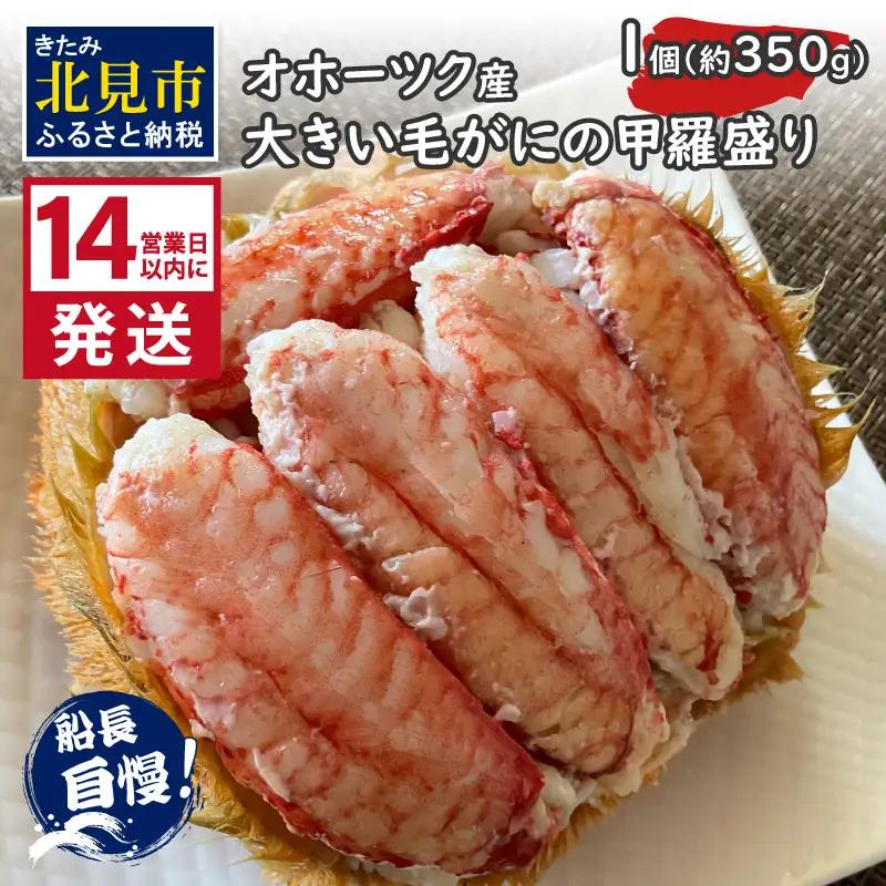 《14営業日以内に発送》オホーツク産 大きい毛がにの甲羅盛り 1個入り 冷凍 ( 毛がに かに カニ 蟹 魚介類 北海道 旨い逸品 チーズ グラタン オホーツク海 )【114-0091】
