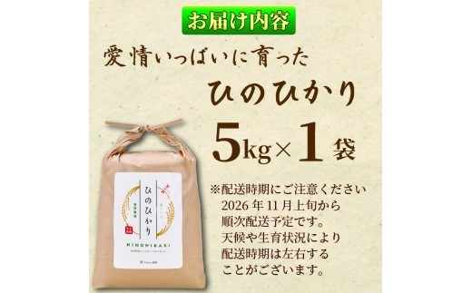 米 5kg 白米 精米 新米 コメ お米 ヒノヒカリ こめ ごはん ご飯 ライス 予約 先行予約 先行受付 令和7年度産 コシヒカリ 黄金晴 ブランド米 香川県 丸亀市 配送：2025年11月～