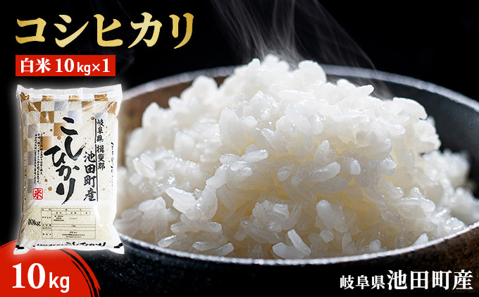 
米 10kg コシヒカリ 池田町産 8分づき 分つき精米 お米 おこめ こめ コメ ごはん ご飯 有機肥料 減農薬栽培 こしひかり 岐阜県
