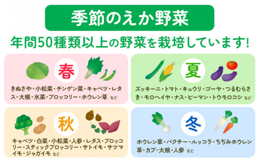野菜狩りチケット 10月-12月 株式会社えか自然農場《30日以内に出荷予定(土日祝除く)》収穫 体験 野菜 やさい チケット 流山市 st-p