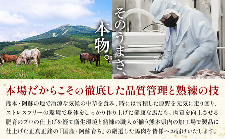 阿蘇馬 赤身馬刺し 300g 専用醤油付き 150ml×1本 阿蘇牧場 《60日以内に出荷予定(土日祝を除く)》 熊本県 津奈木町 馬刺し 馬肉 肉 赤身 冷凍
