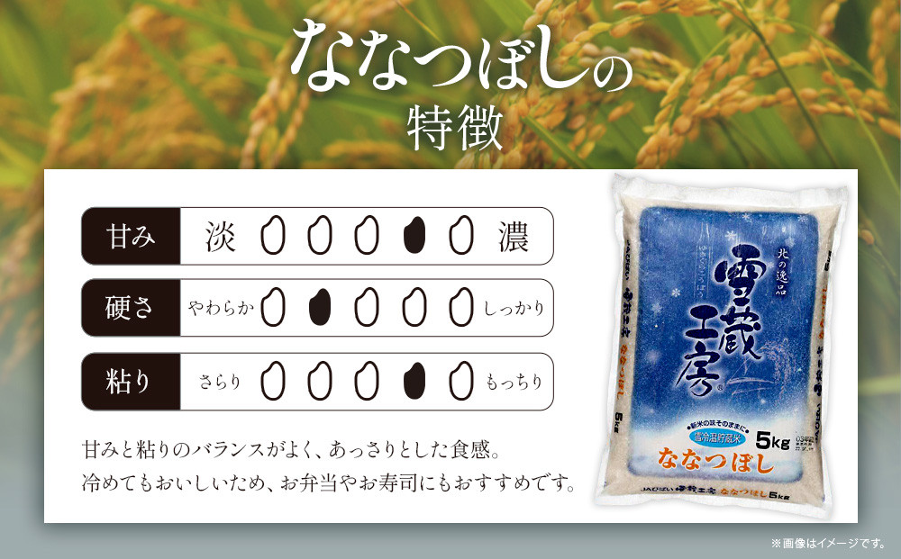 ななつぼし 5kg  特A厳選米 雪蔵工房  【令和7年産】【国産 白米 精米 お米 単一原料米 厳選 マイスター 生活応援 ななつぼし おすすめ 北海道 美唄市 美唄】