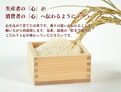 B80917 《令和6年産 新米》 こだわりのお米  ひとめぼれ2ｋｇ＆鮮度そのまま真空パックつや姫・ｻｻﾆｼｷ各2合