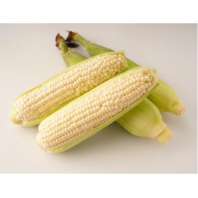 ふるさと納税 高松市 【発送月固定定期便】高松市自慢のフルーツ・野菜【B】全10回 |  | 03