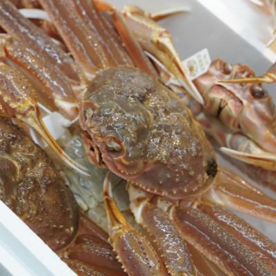 ふるさと納税 射水市 【富山県新湊産】ボイル本ずわい蟹姿(約700g)×1尾 |  | 02